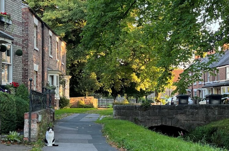 Selling a holiday let house on a village street Selling holiday let house in a village