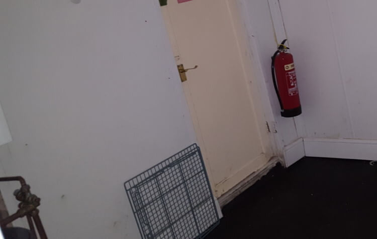 Inside a property with an infestation Property with an infestation