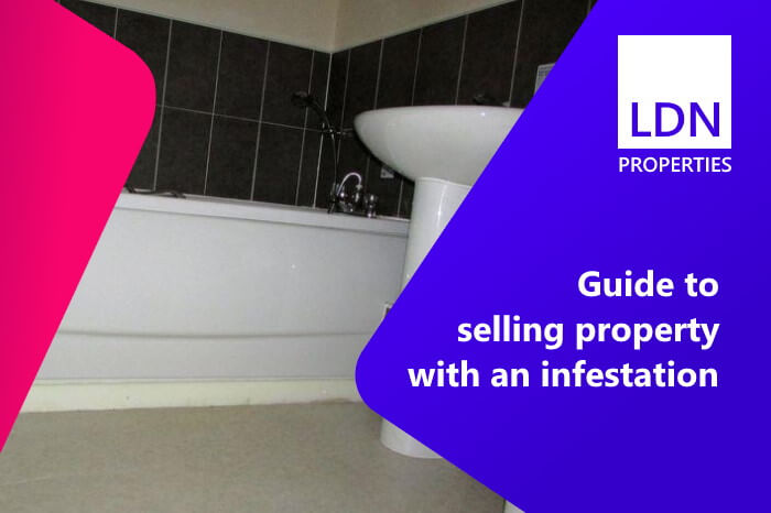 Guide to selling with an infestation - title Guide to selling with an infestation