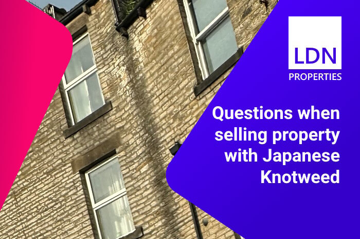 Questions when selling property with Japanese Knotweed - section header Questions when selling property with Japanese Knotweed
