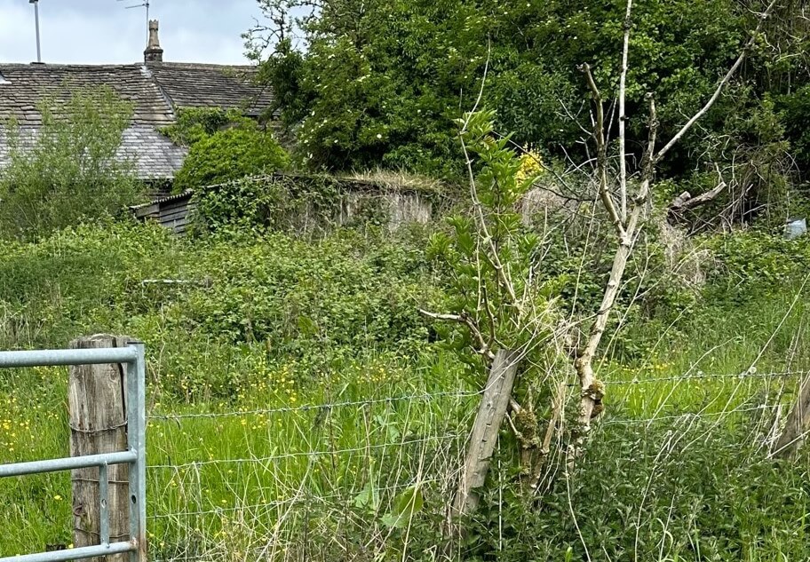 House with overgrown garden House with overgrown garden