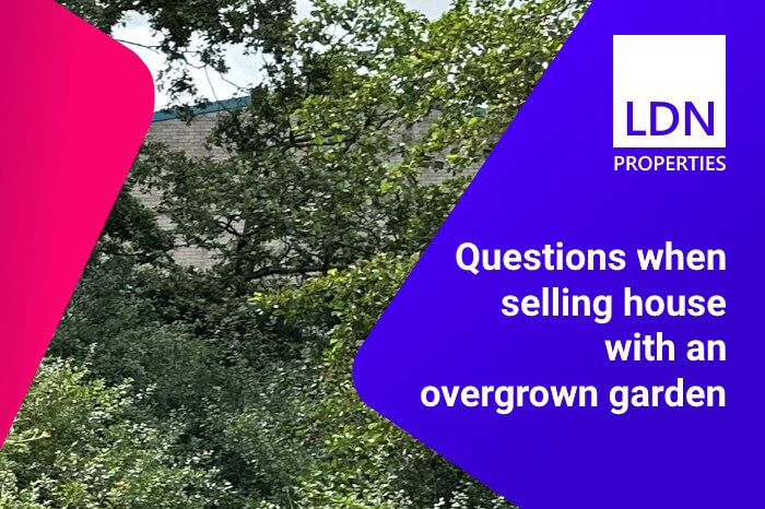 Questions when selling house with an overgrown garden - section header Questions when selling house with an overgrown garden