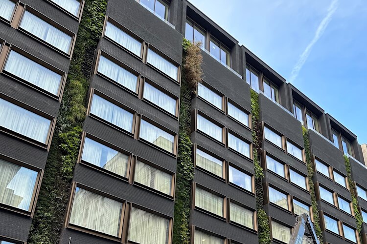 Flat with council tax arrears