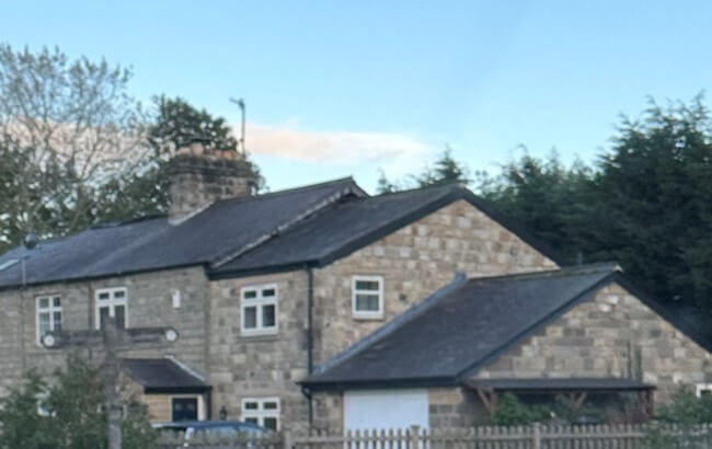 House with himalayan balsam in village House with himalayan balsam