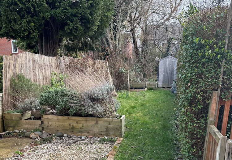 Sell house with Himalayanbalsam Sell house with Himalayan balsam