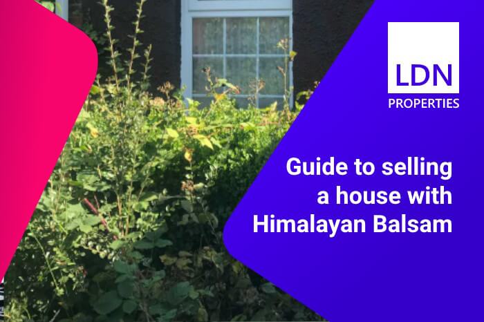 Selling a house with Himalayan Balsam - Guide Guide to selling a house with Himalayan Balsam