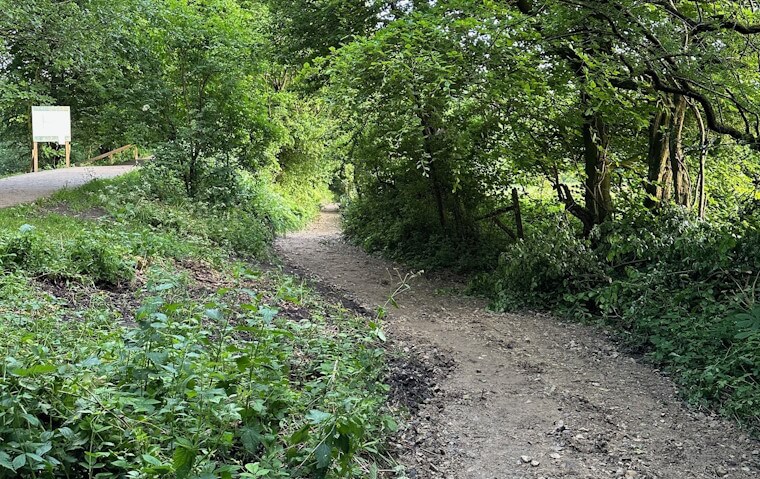 Selling contaminated land quickly Selling contaminated land